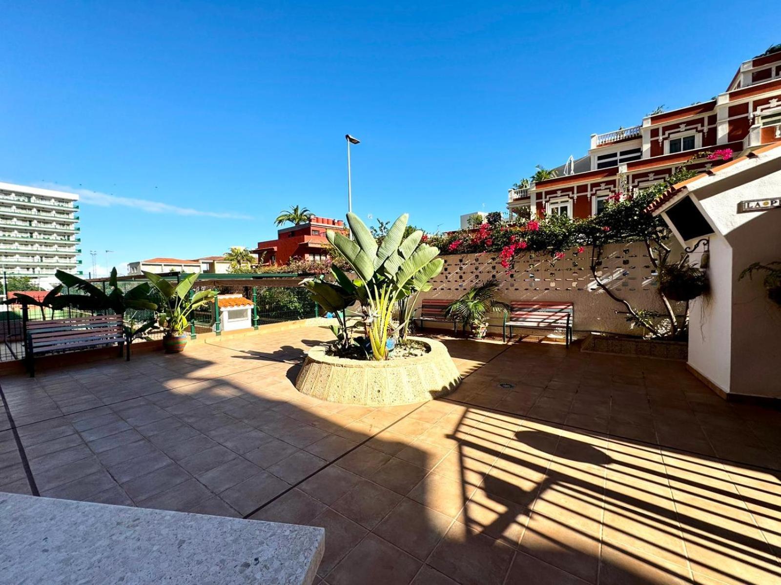 Apartamento Ocean Breeze Oasis In Puerto de la Cruz (Tenerife)